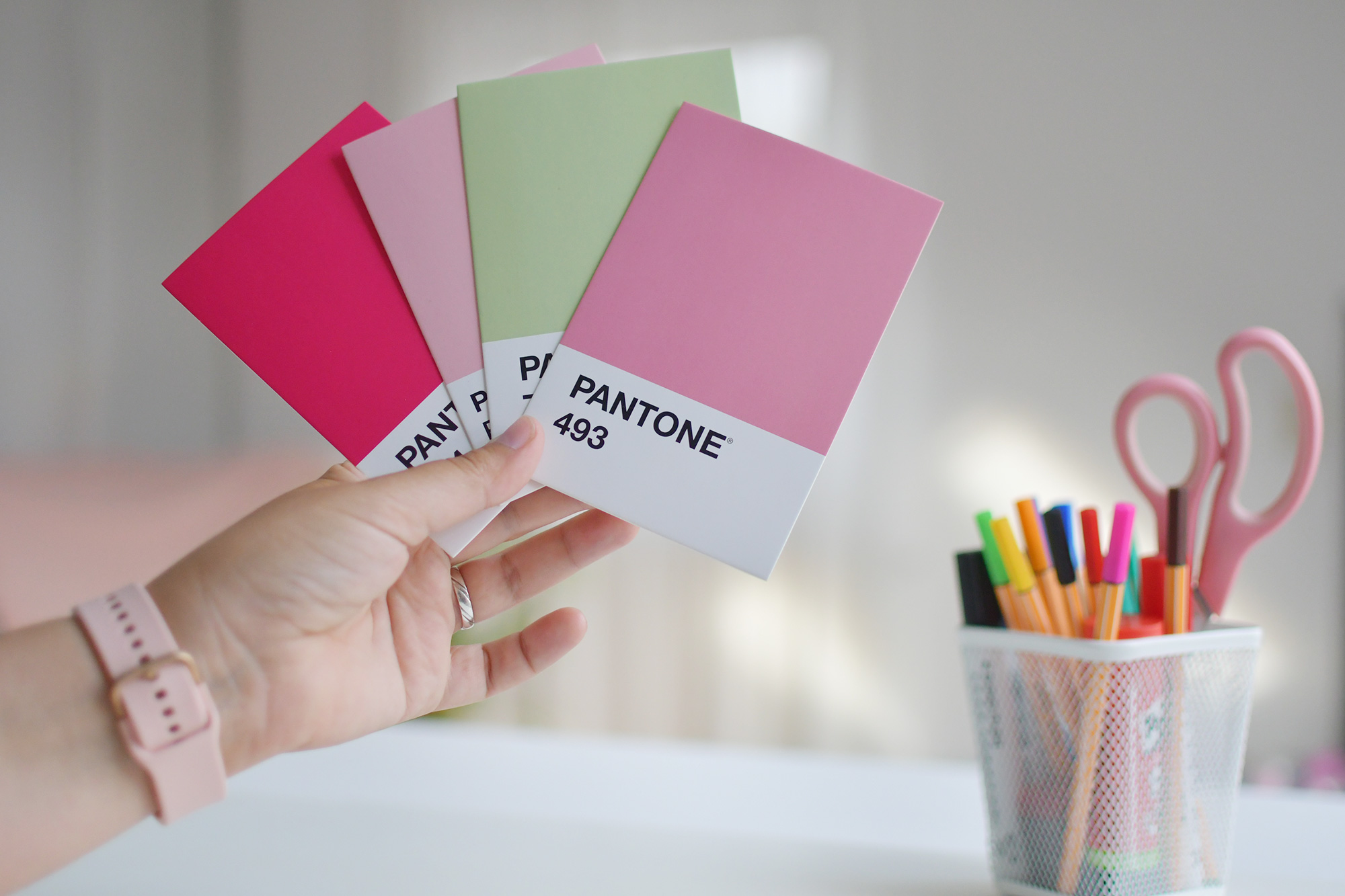 kreativanja logo farben branding existenzgründer