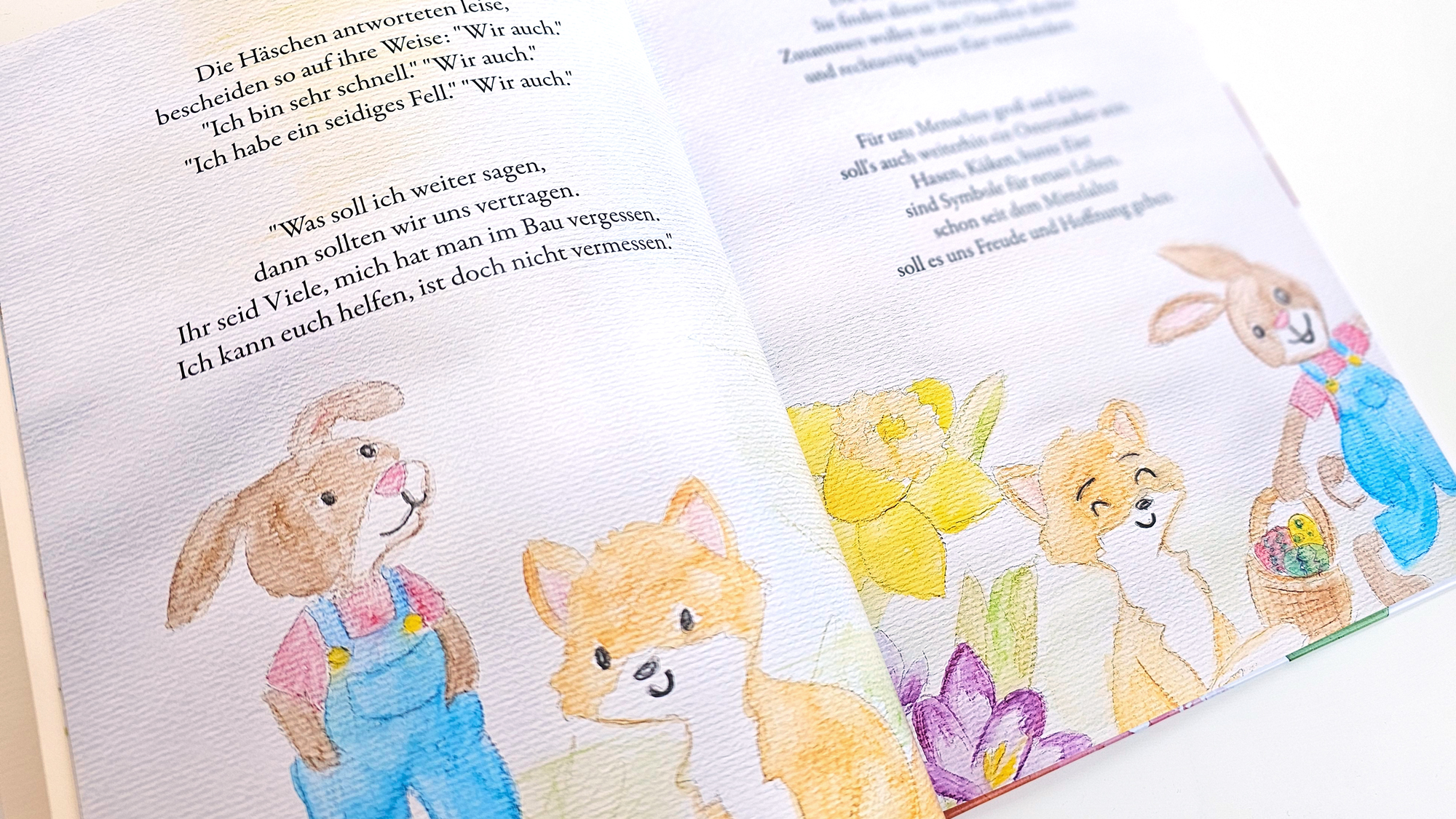 portfolio buchillustration innen kreativanja